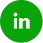 LinkedIn logo Icon