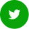 Twitter logo Icon